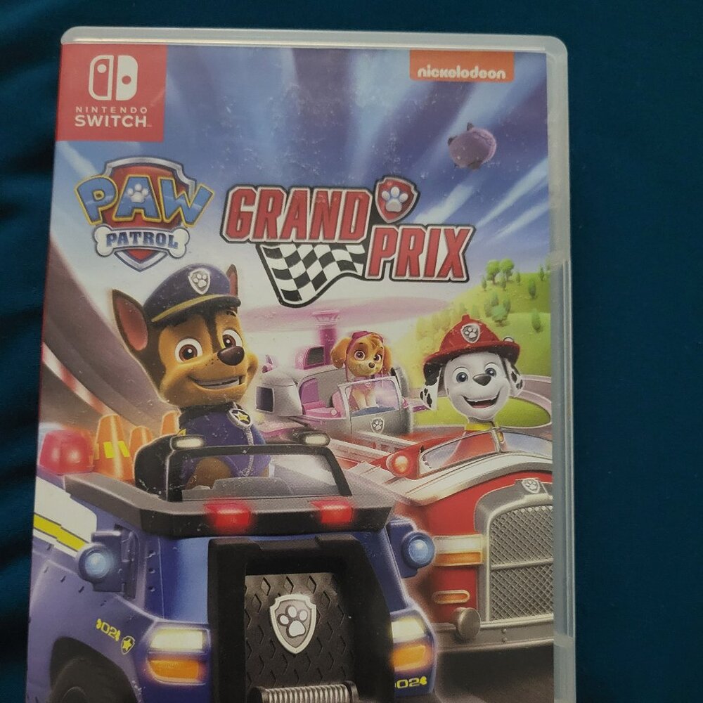 Paw Patrol Grand Prix Switch Game